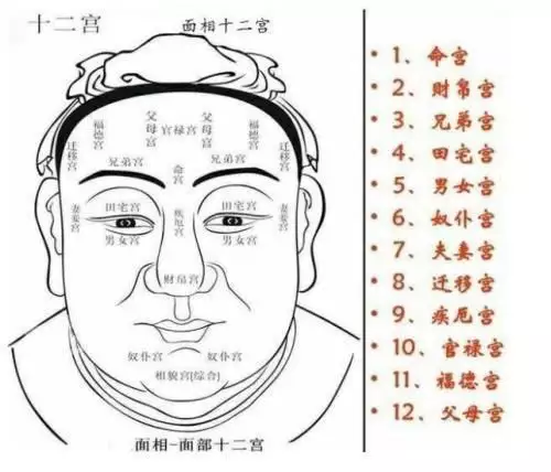 7、夫妻宫如何看婚姻:从夫妻宫看婚姻准不准啊