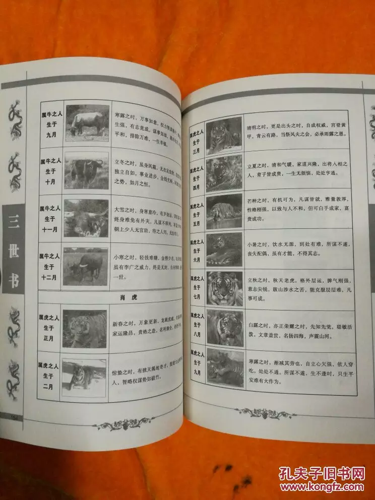 9、书免费查前世今生:农历年12月初5早上5点生的命运如何