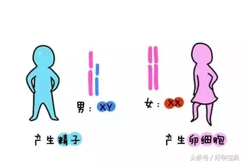 1、怀孕时间点:女性时间是几点？