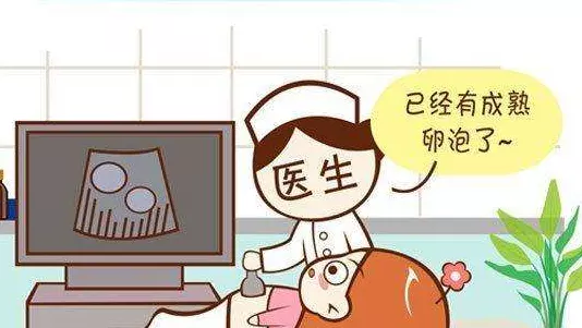 2、适合备孕的季节:怎样才能怀女孩？备孕的时候应该用什么方法？