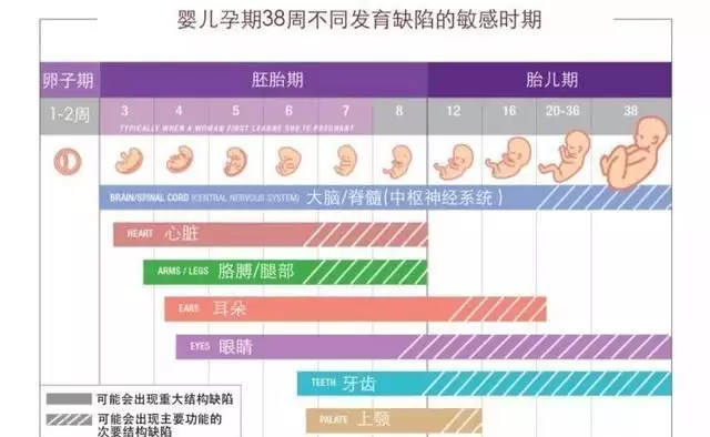 4、啥时候是怀孕时间:什么时候是女性的时间？