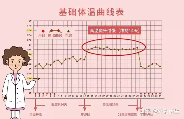 3、期是什么时候:什么时候是时期？