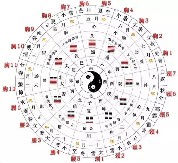 3、天干合与地支合哪个好:请教天干五合和地支三合八字学了三年还是迷惑求高手指点！