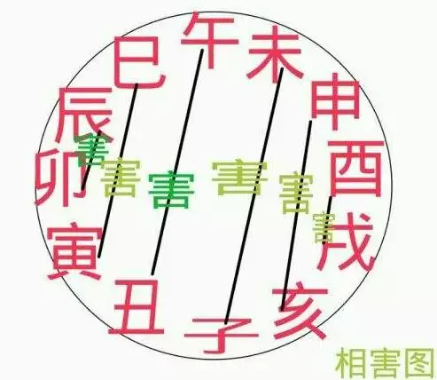 4、牛马的婚姻能相害到什么程度:牛马相害.难道就没有幸福.恩爱的夫妻吗.