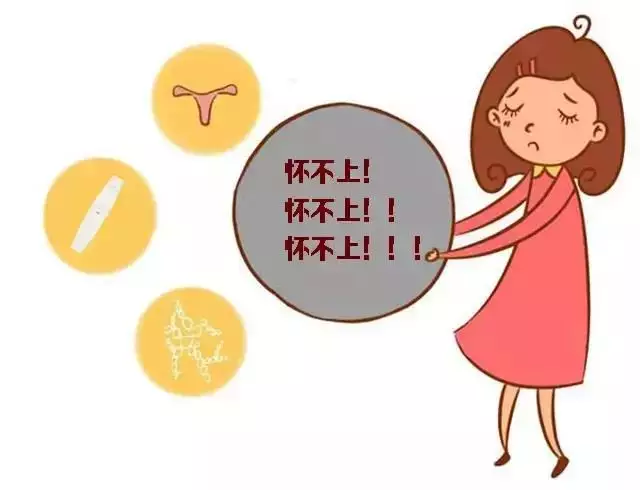 5、想要女孩子怎么备孕:生女孩怎么调理身体，超级想备孕一个女儿的？