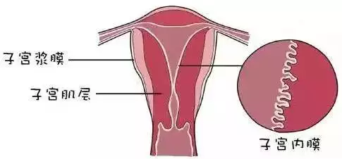 6、女人怀孕在月经的什么时候:女人月经后什么时候比较容易怀孕