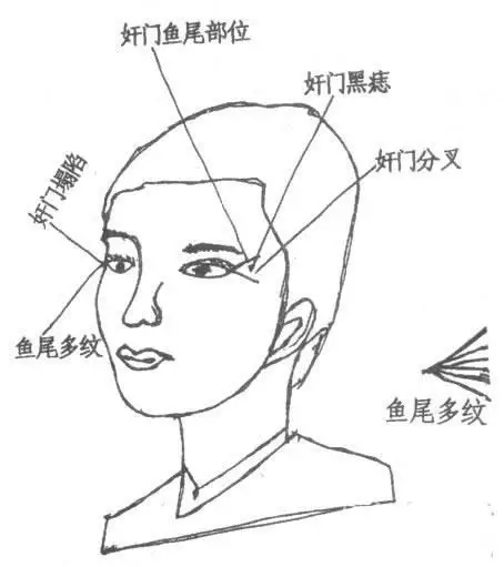 5、夫妻宫看如何认识配偶:夫妻宫可以看出配偶特征吗