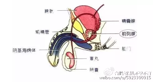 1、经常会影响生孩子吗:习惯对身体或者生育有什么不利的影响吗?