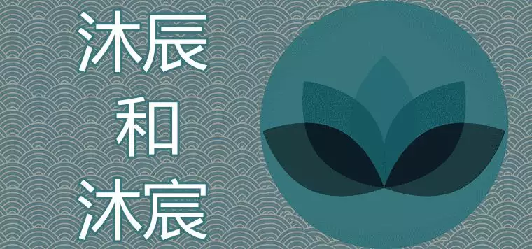 5、王沐宸名字打分测试:王沐宸和王沐辰哪个名字好