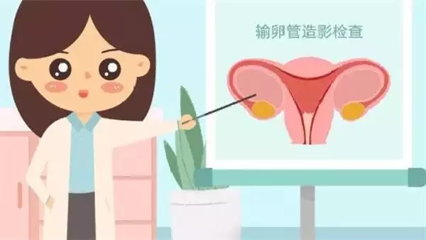 1、生女孩备孕前准备科学方法:你们了解过想生女孩孕前准备什么吗？