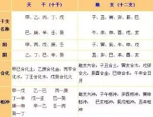 9、结婚看天干还是地支:天干五合会结婚，还是地支三合会结婚？