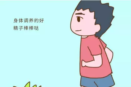 5、男士备孕要提前多久准备:备孕时候的男性，必须要做的准备工作有哪些？