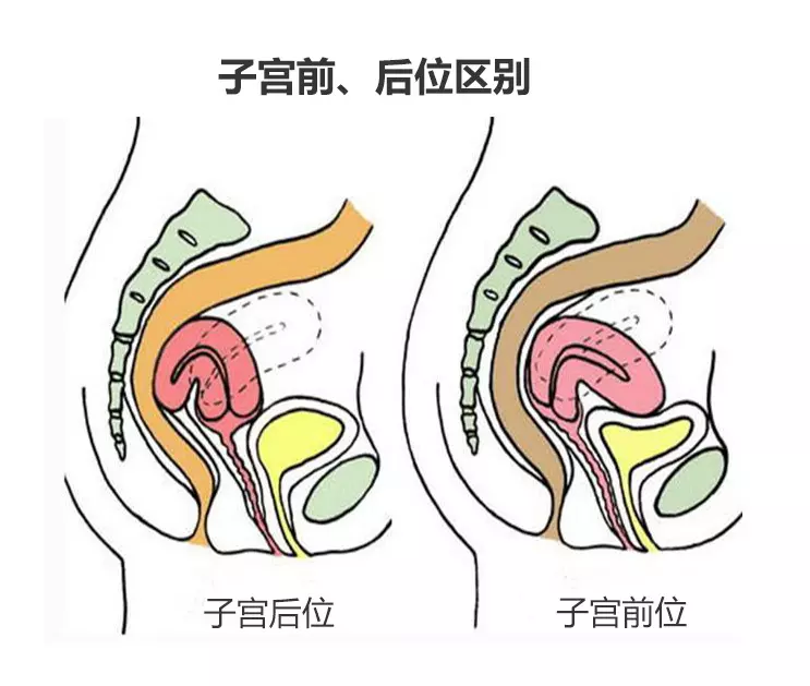 1、在什么时候最容易:什么时候怀孕时期