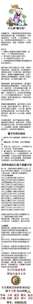 6、93鸡和94狗的姻缘:93鸡和94狗的姻缘