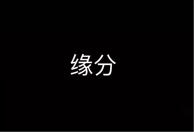 5、怎样算和一个人的缘分:怎样才算有缘分..？缘分是否决定一切？？