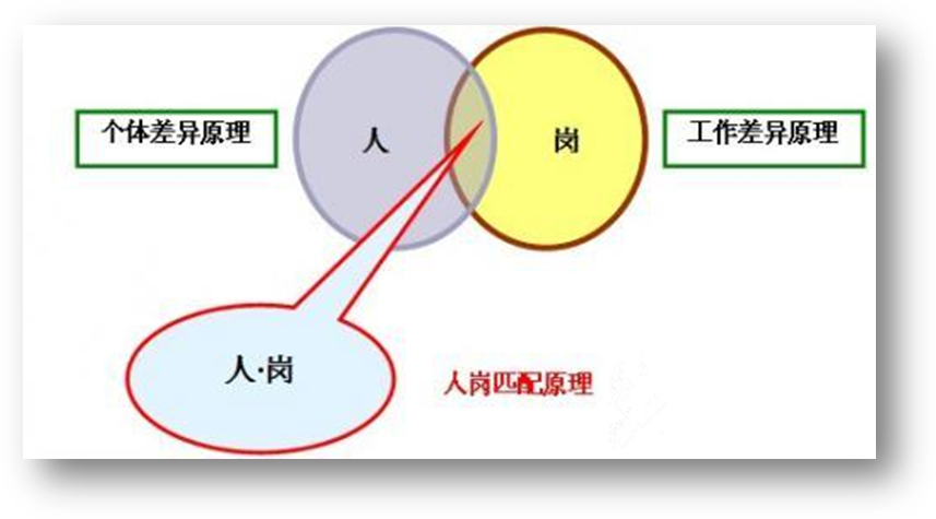 4、性匹配度的概念:匹配度。