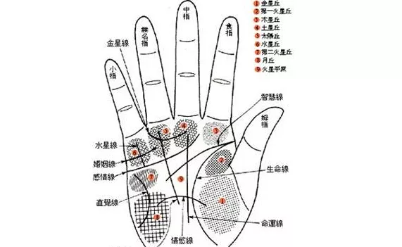 1、手相婚姻线断开是什么意思:手相 婚姻线 为什么断了