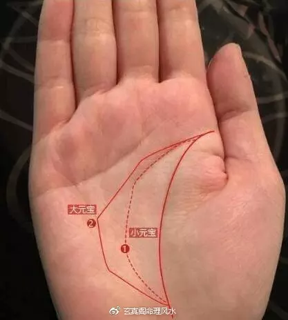 4、凤眼纹小的跟大的区别:请帮忙看下我这个是凤眼纹么？有凤眼纹是不是能大富大贵呢？