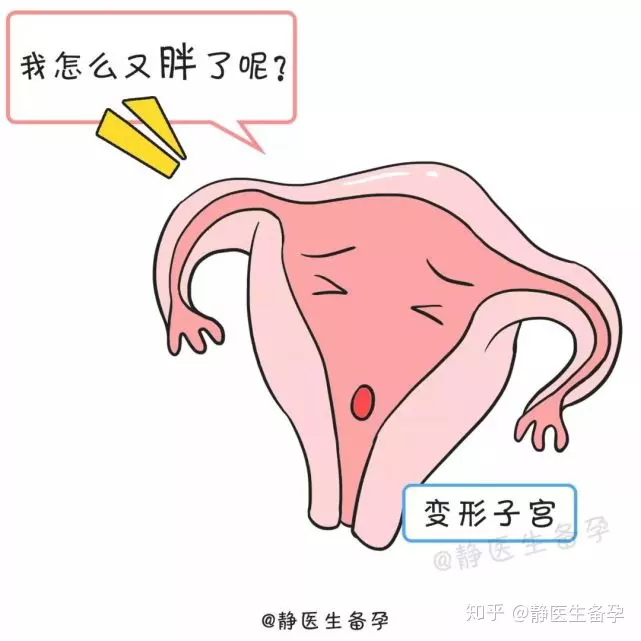 2、女人的几率是多大啊？请问什么时候是怀孕的时机呢？