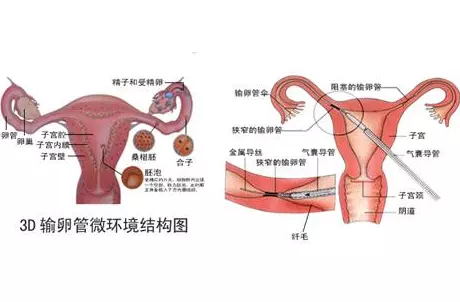 3、女人在什么时候:什么时候女性最容易怀孕？