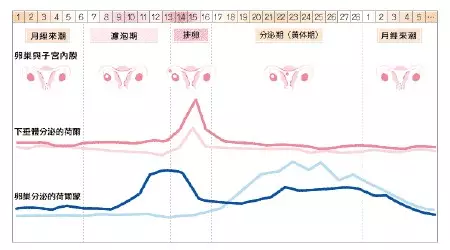 2、生儿子是在之前还是之后:生男孩是前还是后