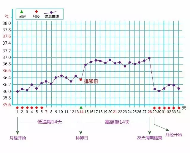 2、期的时间:月份是什么时候？