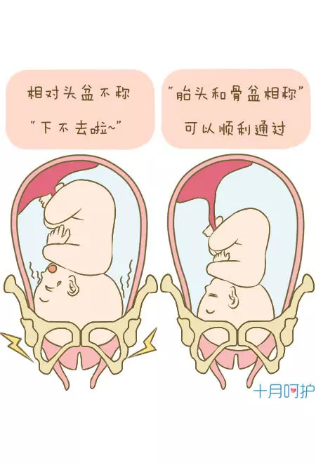 3、怎样才能生儿子的几率比较高:如何生儿子，想生个儿子怎么办？