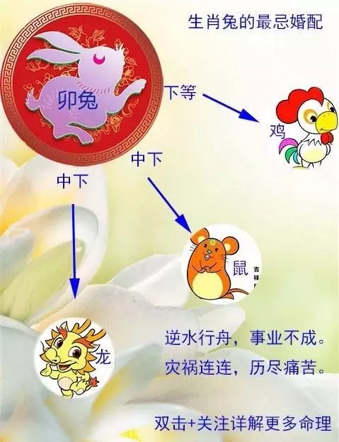 6、属相相克是真的吗有科学依据吗:12生肖相冲有科学根据吗