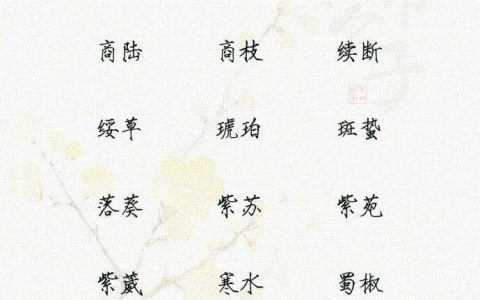 3、婚姻配对看什么最准确:八字婚姻配对