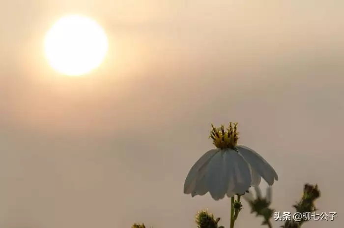 1、什么缘分天注定，我觉得是在扯淡。比如两个人相遇爱上对方，那只是一种巧合（巧遇）！但人们更喜欢用缘分