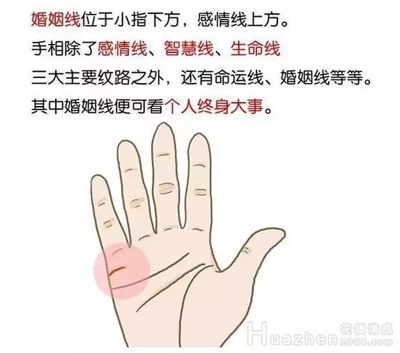 1、怎么通过手看婚姻:怎么通过手上的婚姻线看自己的命运？