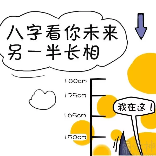 3、测算未来老公长相类型:八字测算未来老公特征