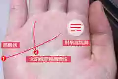 2、手相怎么看有几段感情:有会看手相的吗？这个手可以看出有几段婚姻吗