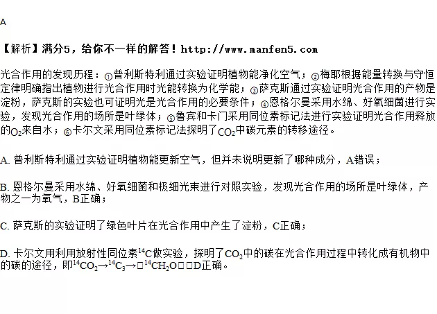 5、测另一半什么时候遇见测试题:测试你的另一半什么时候出现，测试你的真爱何时出现