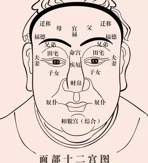 3、女人八字中的夫星是什么:女子八字中没夫星是什么意思？求解。