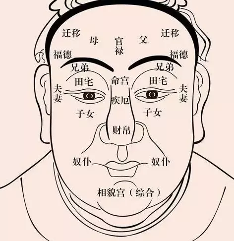 10、看相算命大全免费软件:网上哪里有算命很准的软件