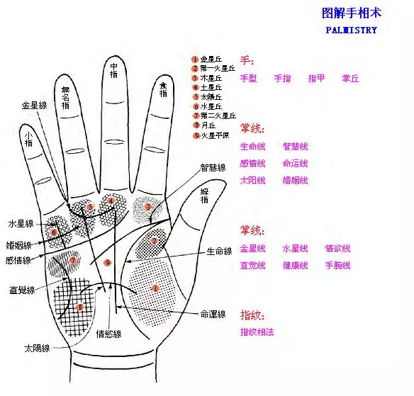 4、在线拍照看手相算命:拍照测手相？