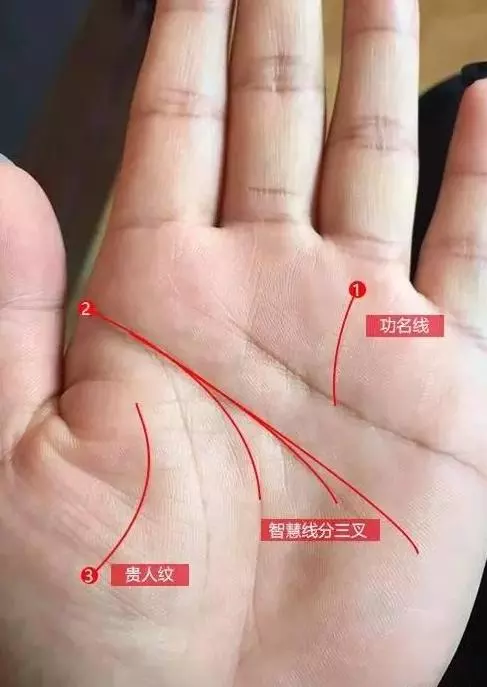 8、在线拍照看手相算命:网上看到的如何看手相，大家可以参考一下自己啊