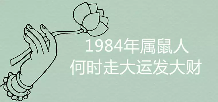 4、84年属鼠人三大劫难:年属鼠是什么命