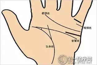 5、女士手掌纹路图解大全:女人看手相算命图解