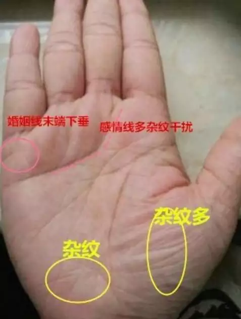 1、手掌上婚姻线如何看离不离婚:怎么通过自己的手掌看婚姻