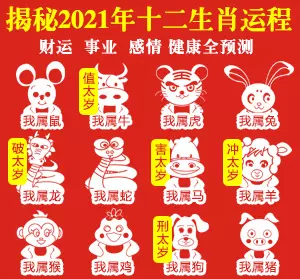 1、属猪的今年运势怎么样:属猪人全年运势