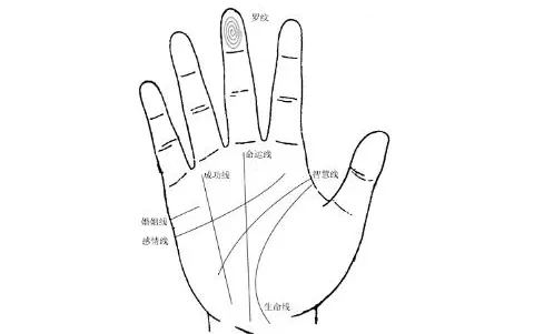 4、三条婚姻线哪个是真的:我有三条婚姻线 什么情况