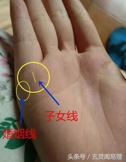 5、婚姻线一条是怎么样的:婚姻线一条 还是害局是什么意思？