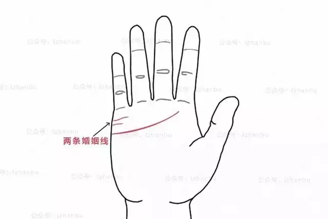 3、女人手上的婚姻线是哪一条:手掌感情线是哪条