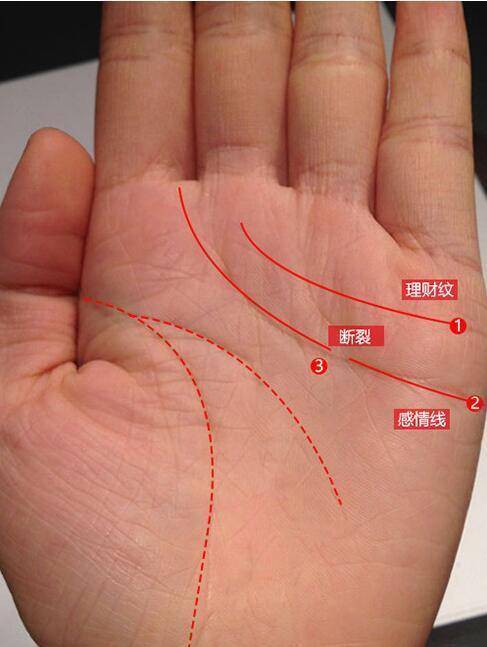 3、什么样的手纹会离婚图:从手相怎样看出会离婚