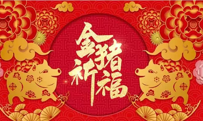 2、属猪的今年运势怎么样:属猪的今年运气怎么样？