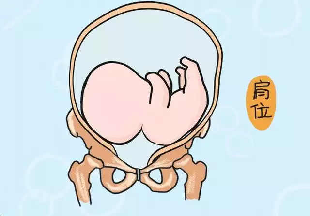 7、什么时间生男孩:什么时候生男孩的几率比较大？