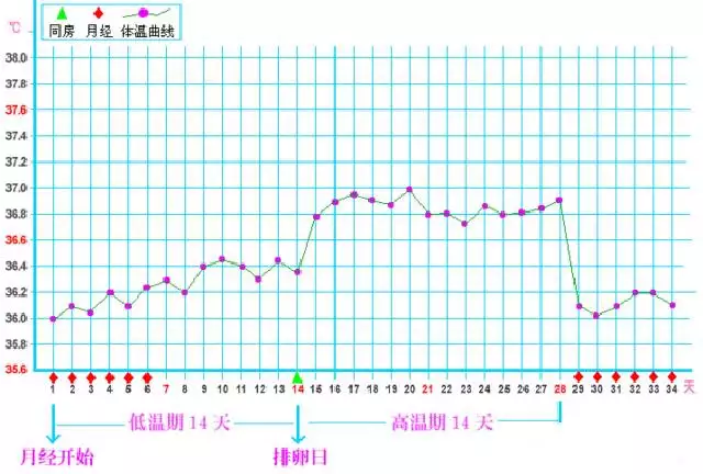 2、怀孕时间:女性的时间是什么时候？应该注意什么？