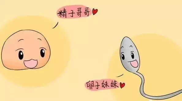 3、男女八字不合怎么办:婚恋中，男女八字不合，该怎么办？